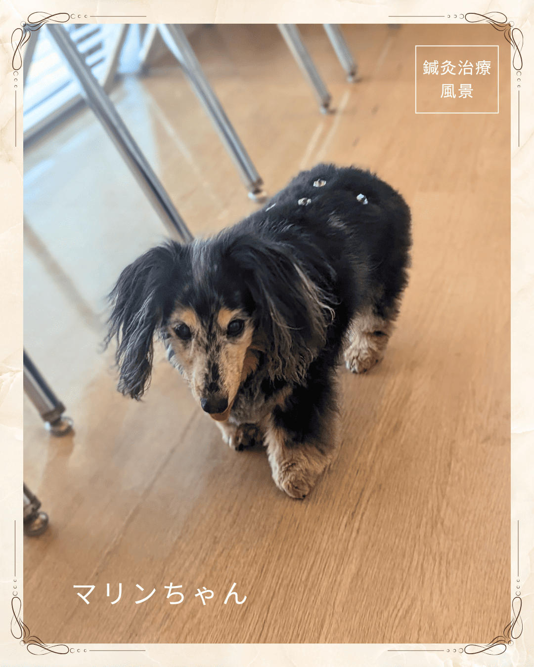 2026.6.26  シニアさんの小さな変化をチェック