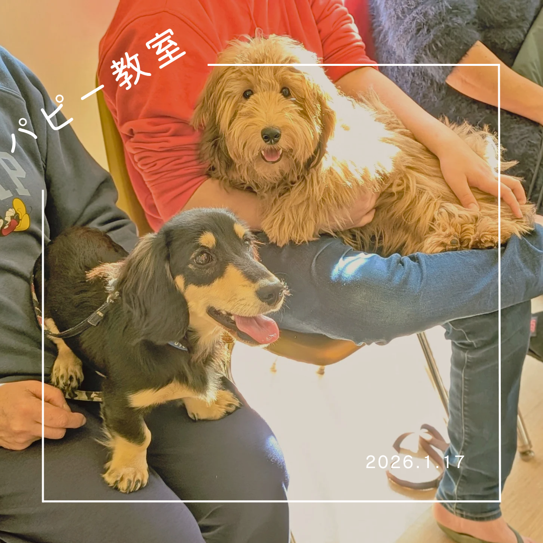 2026.1.17 パピー教室