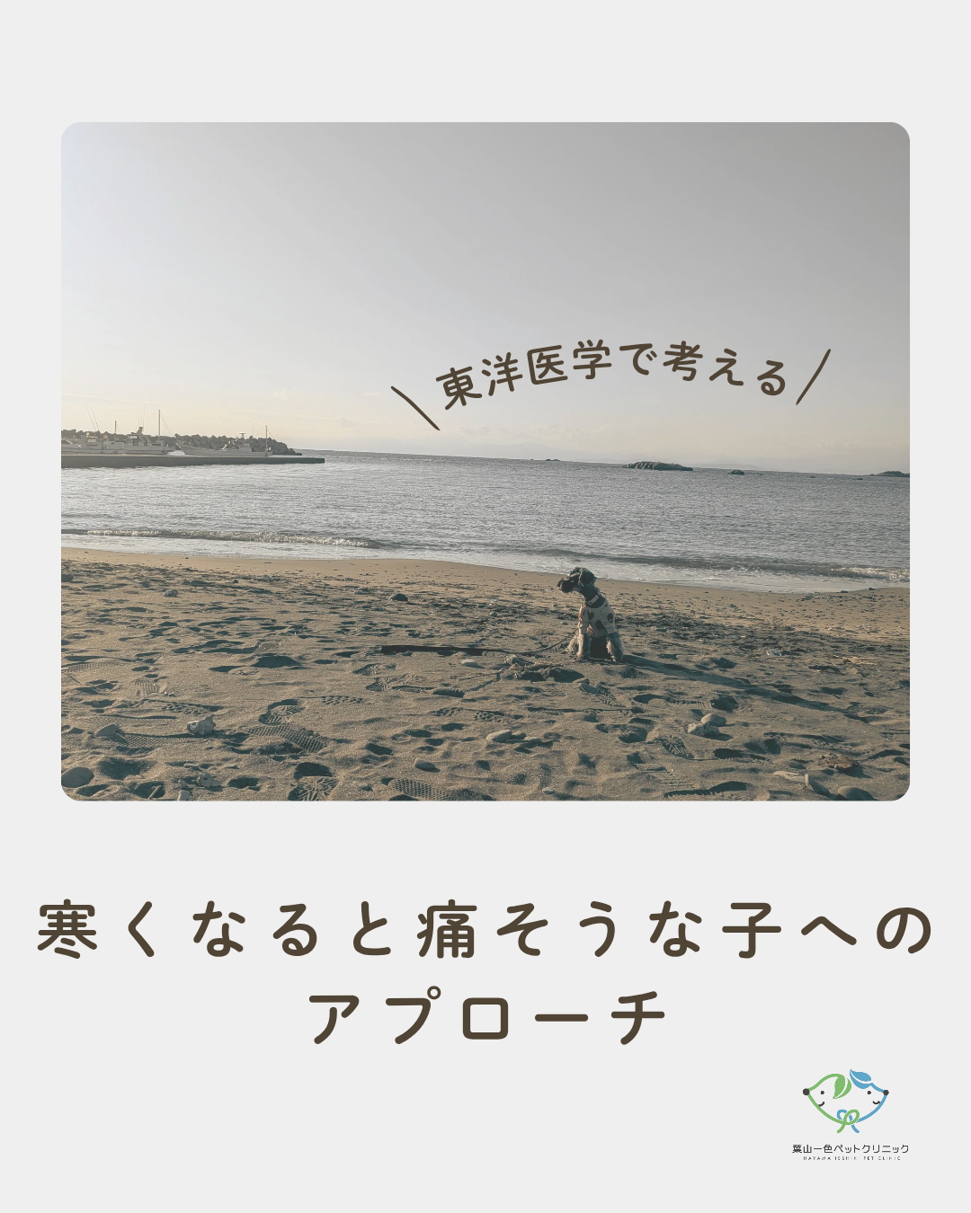 2026.1.30  寒くなると痛そうな子へのアプローチ