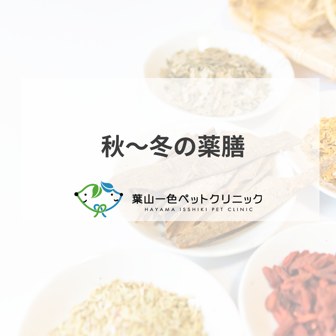 秋～冬の薬膳【蓮根】