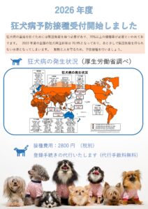 3/2~ 2026年度の狂犬病予防接種が可能です