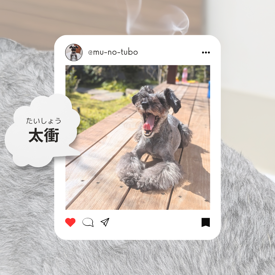 気の巡りを良くする【太衝】