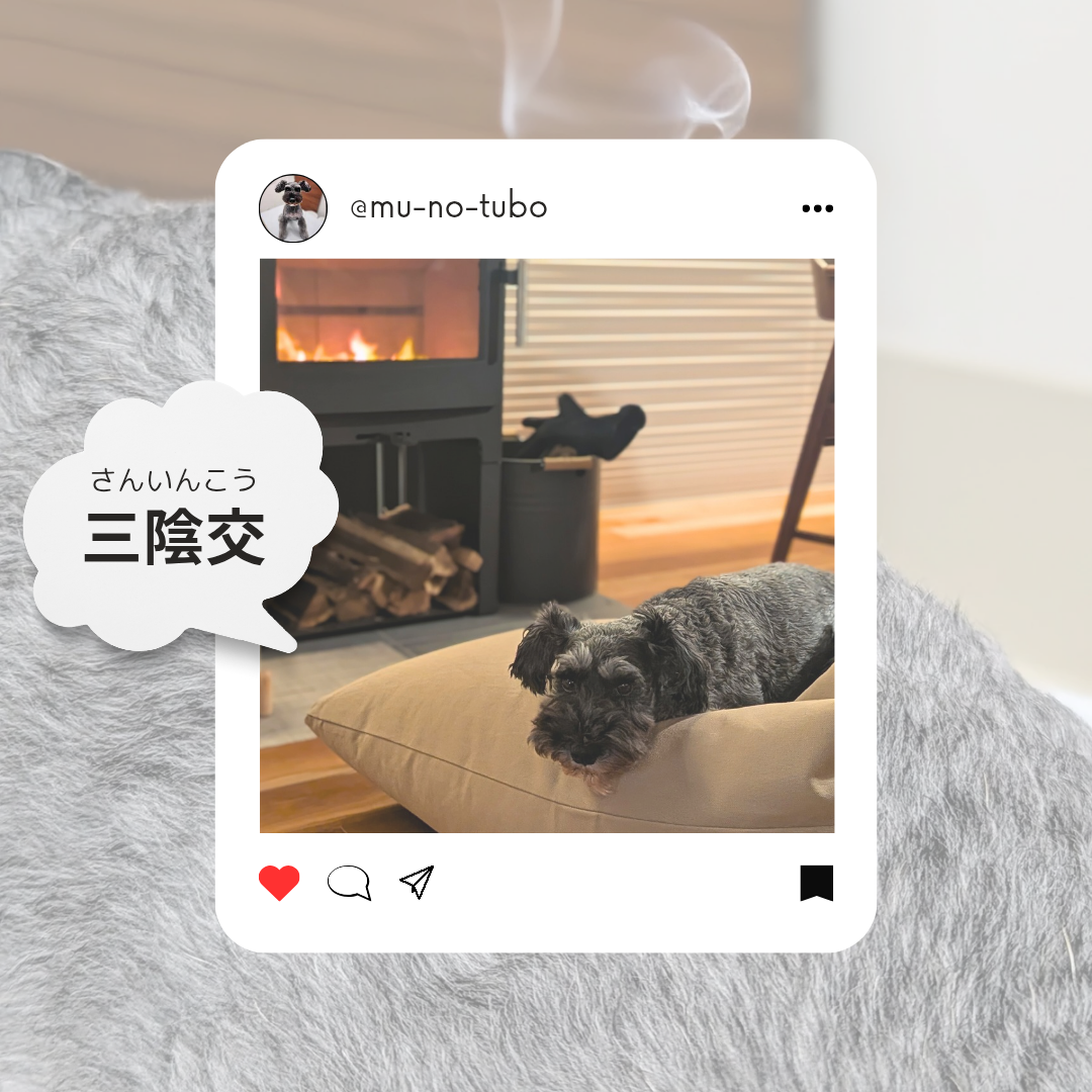 季節の変わり目のケアに【三陰交(さんいんこう)】