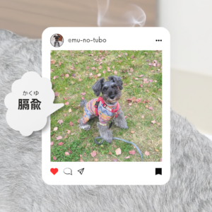 血の巡りのスイッチ【膈兪(かくゆ)】