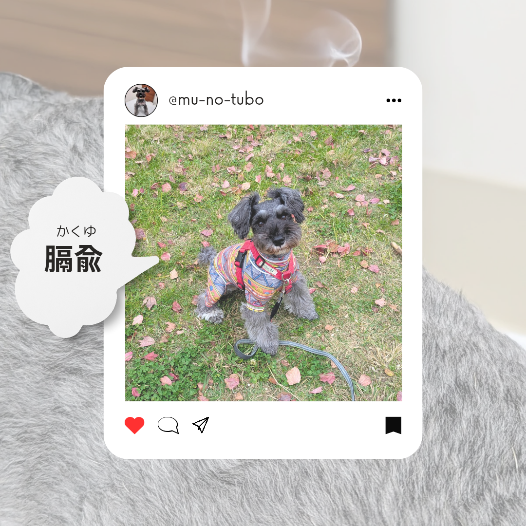 血の巡りのスイッチ【膈兪(かくゆ)】