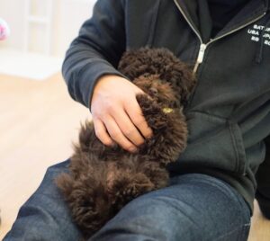 2026.1.10 パピー教室