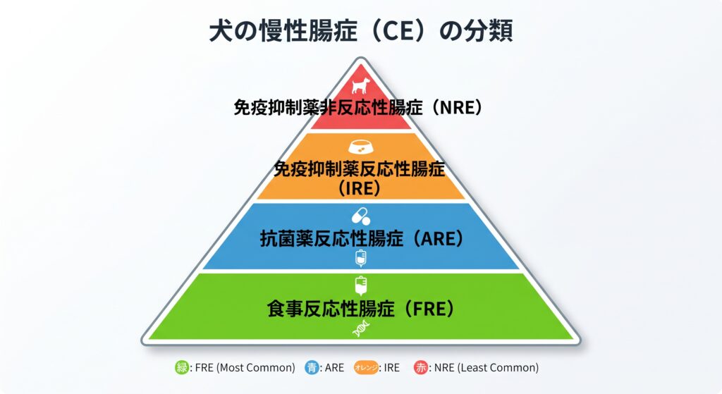 慢性腸症