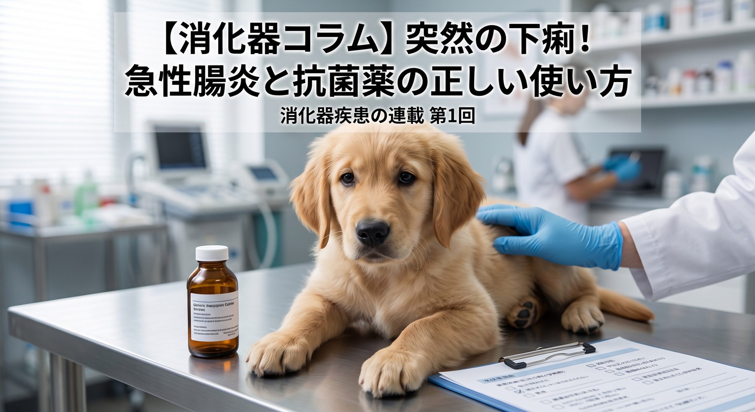 【消化器コラム】突然の下痢！急性腸炎と抗菌薬の正しい使い方