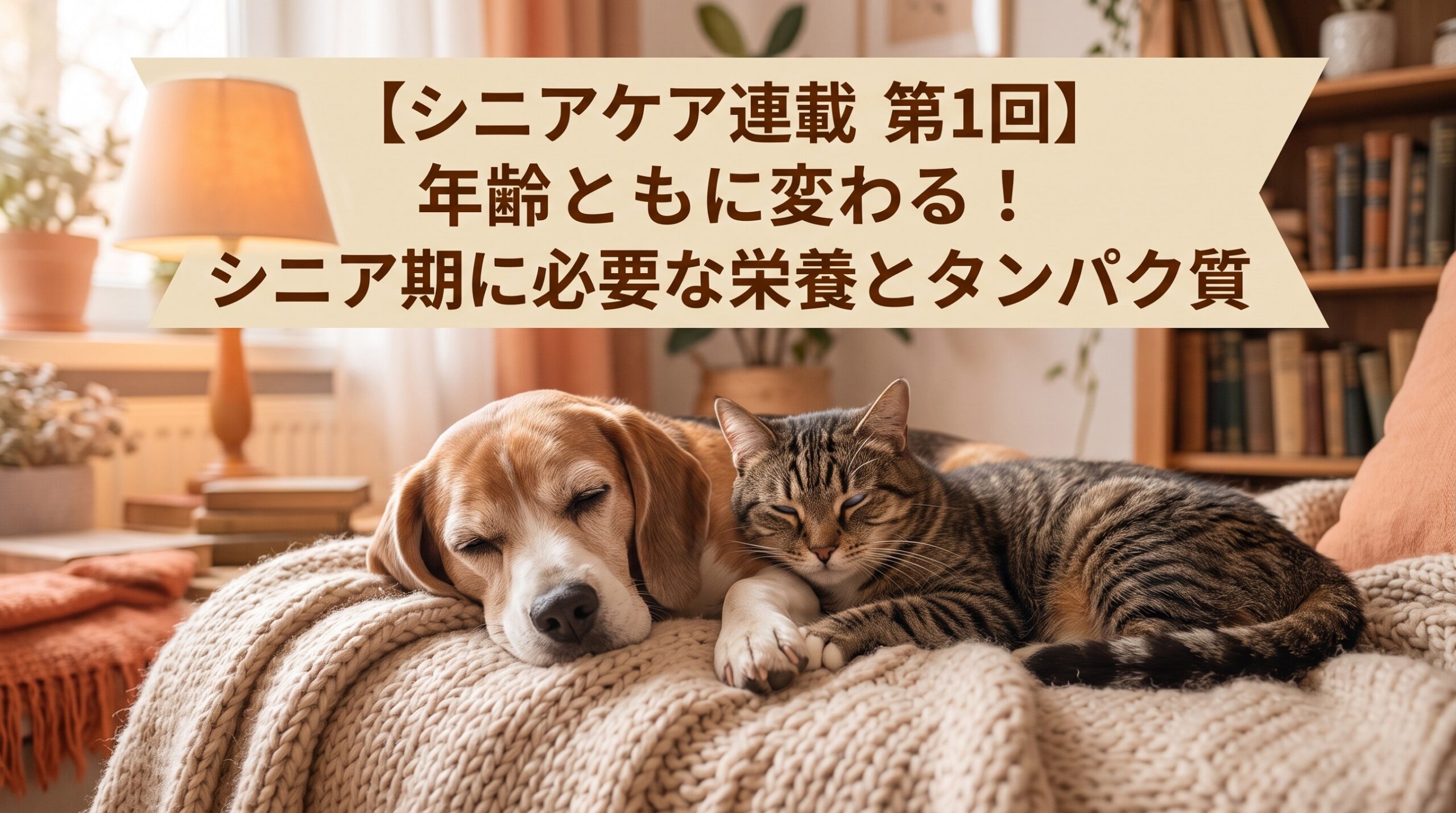 【シニアケア連載 第1回】年齢とともに変わる！シニア期に必要な栄養とタンパク質