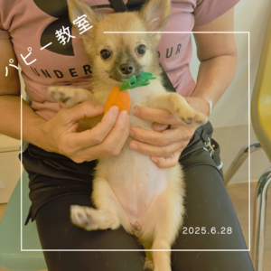 2025.6.28　パピー教室