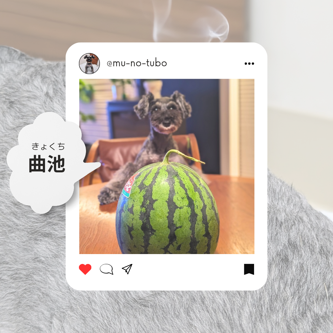 からだの余分な熱をとる【曲池（きょくち）】