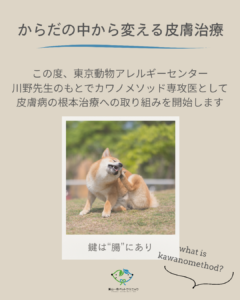 からだの中から変える皮膚治療~カワノメソッド