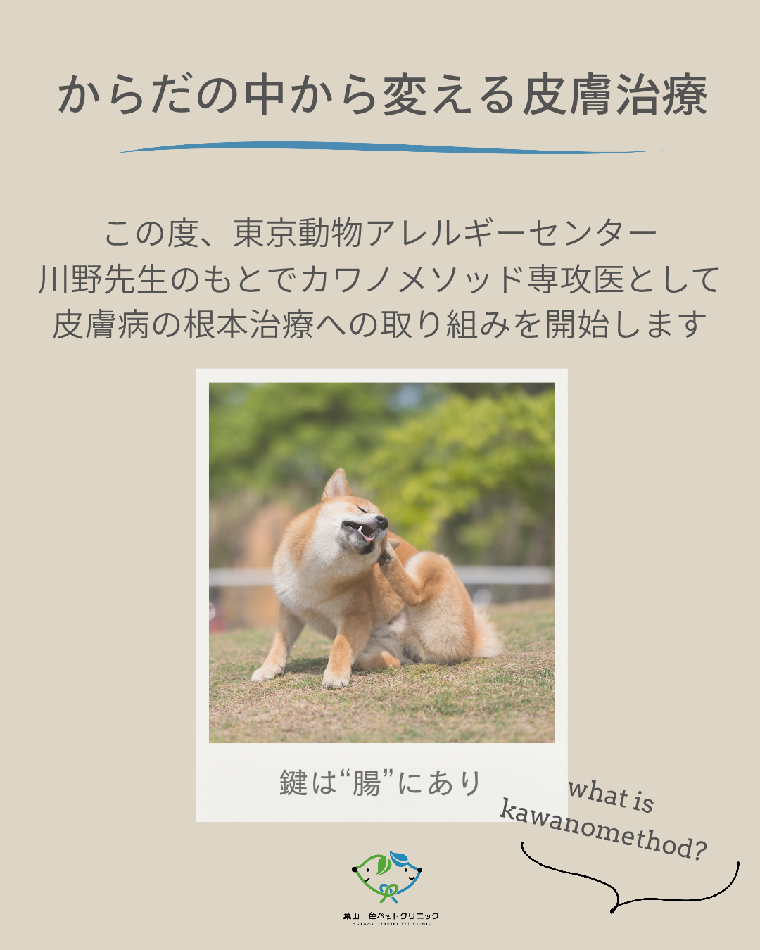 からだの中から変える皮膚治療～カワノメソッド